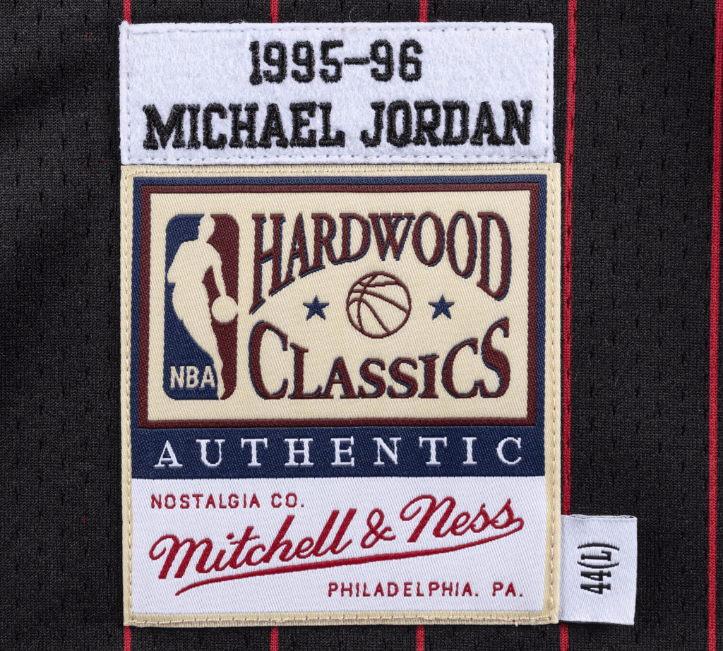 Jordan Mitchell & Ness Authentic Jersey Pinstripe